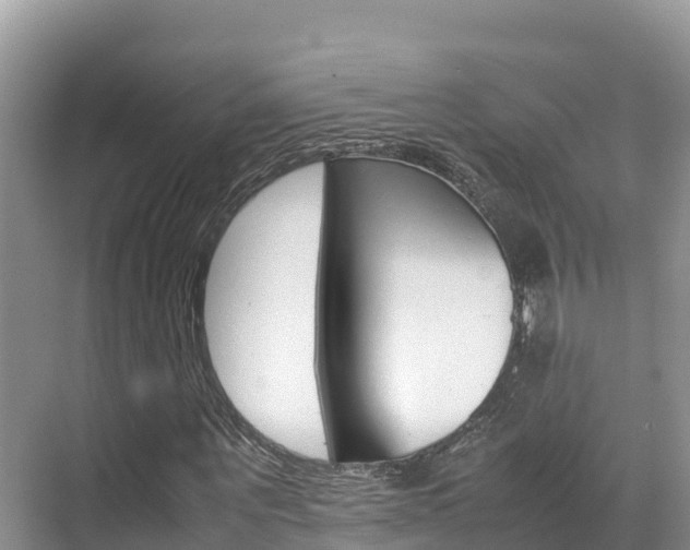 X0000070370867200606090823