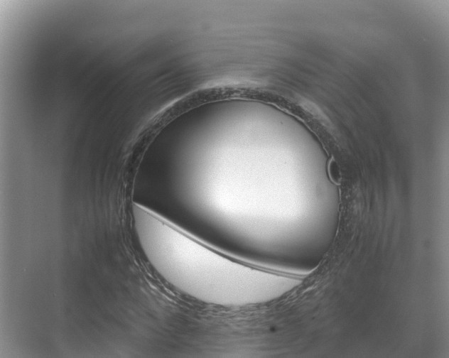 X0000070370872200606090823