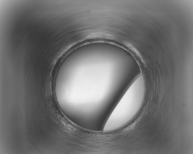 X0000070370877200606090823