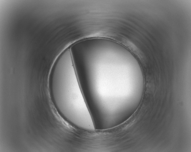 X0000070370892200606090823