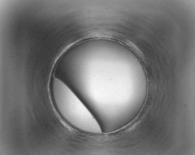 X0000070370893200606090823