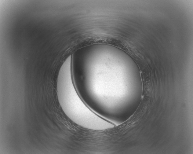 X0000070370916200606090821