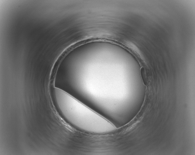 X0000070370924200606090822