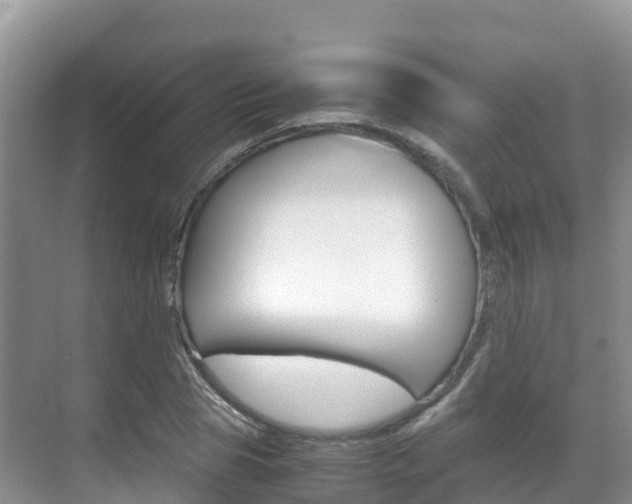 X0000070370929200606090822