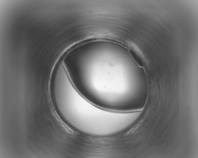 X0000070370932200606090822