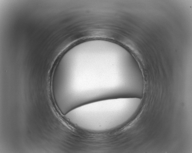 X0000070370933200606090822
