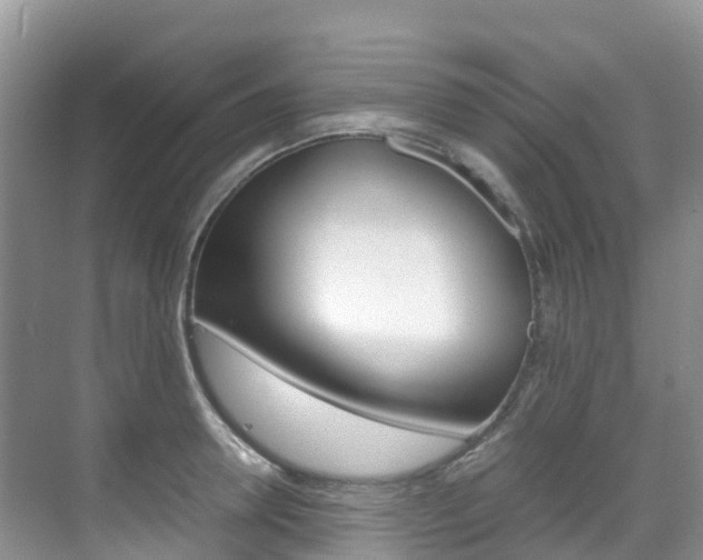 X0000070370946200606090822