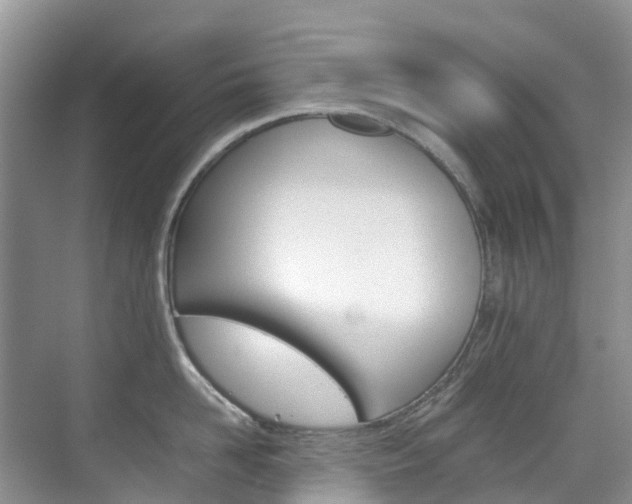 X0000070370958200606090822
