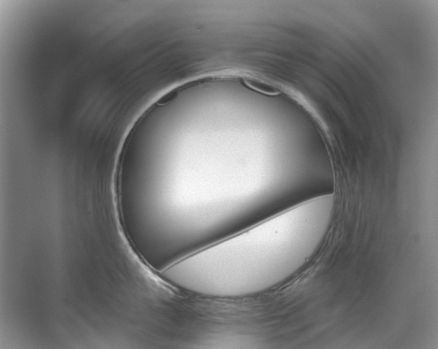 X0000070370959200606090822