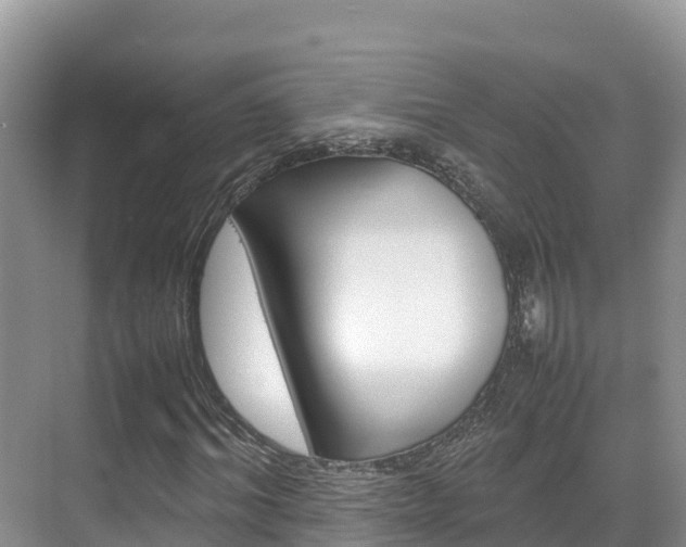 X0000070370964200606090821
