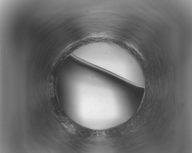 X0000070370968200606090821