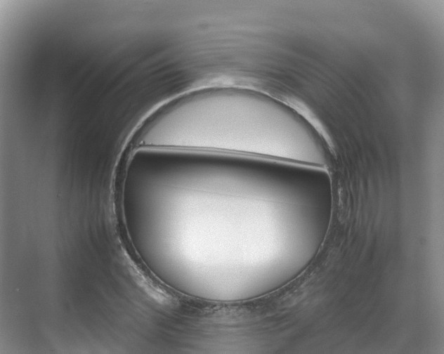 X0000070370972200606090821