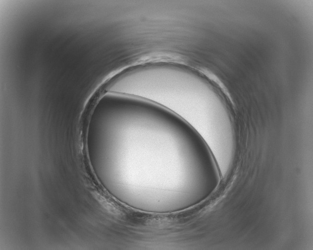 X0000070370973200606090821
