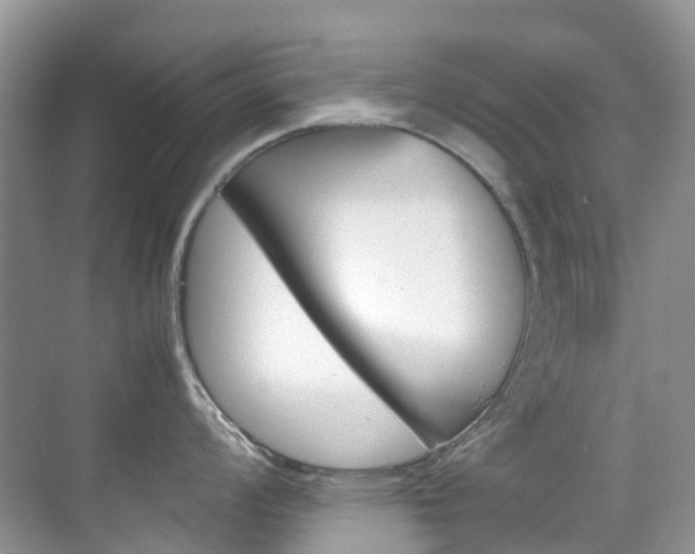 X0000070371008200606090821
