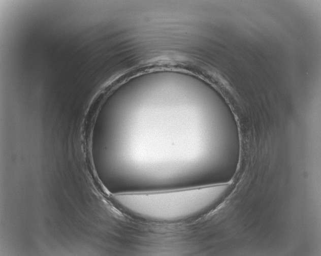 X0000070371018200606090820