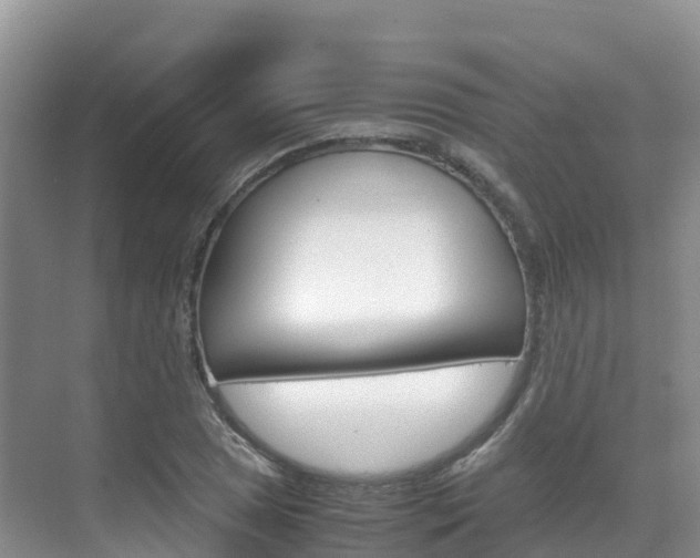 X0000070371025200606090820