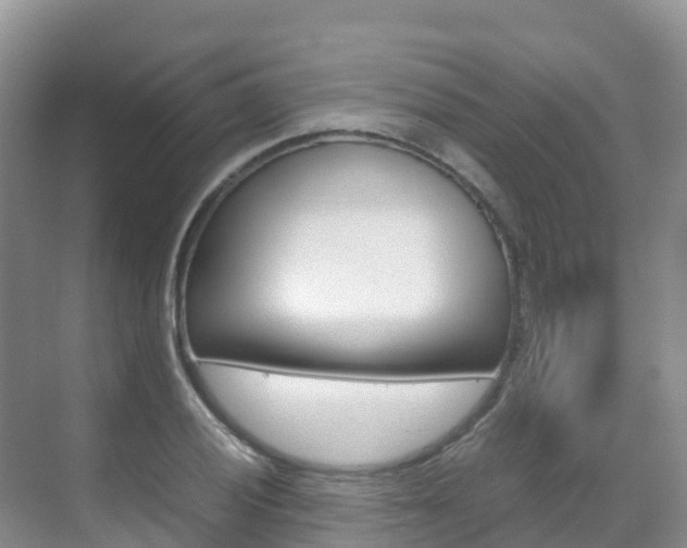 X0000070371028200606090820