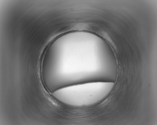 X0000070371035200606090820
