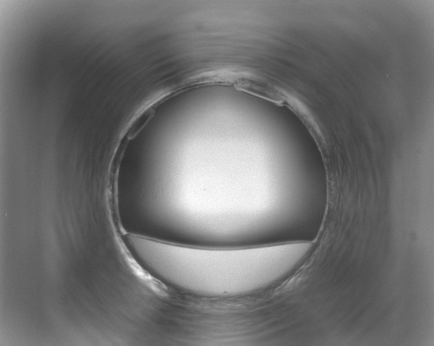 X0000070371042200606090820