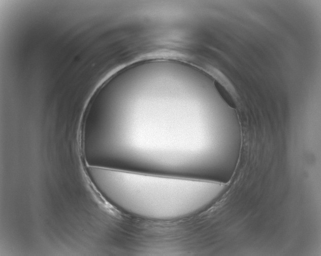 X0000070371044200606090820