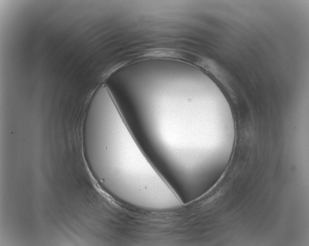 X0000070371049200606090820
