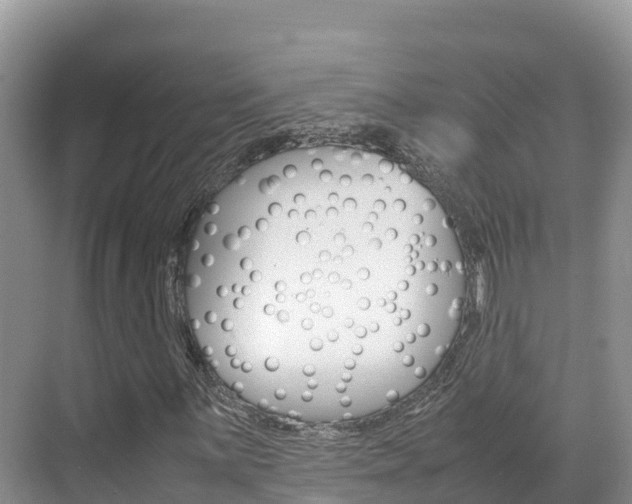 X0000070371059200606090820