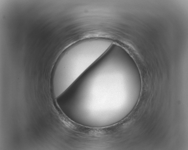 X0000070371073200606090820