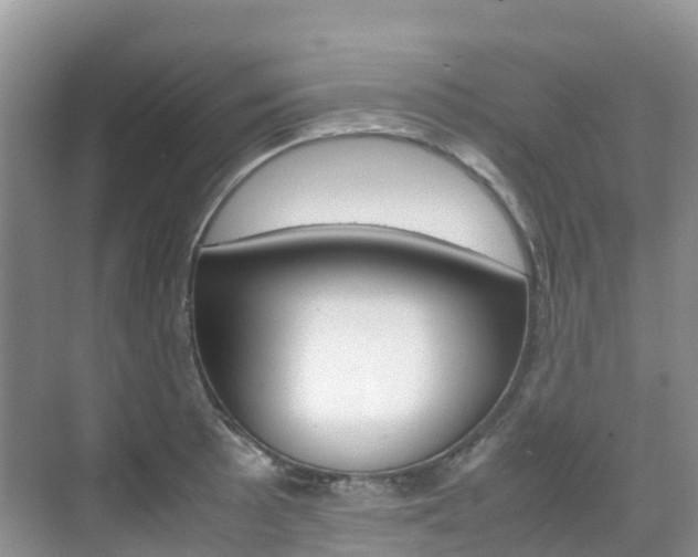 X0000070371089200606090819