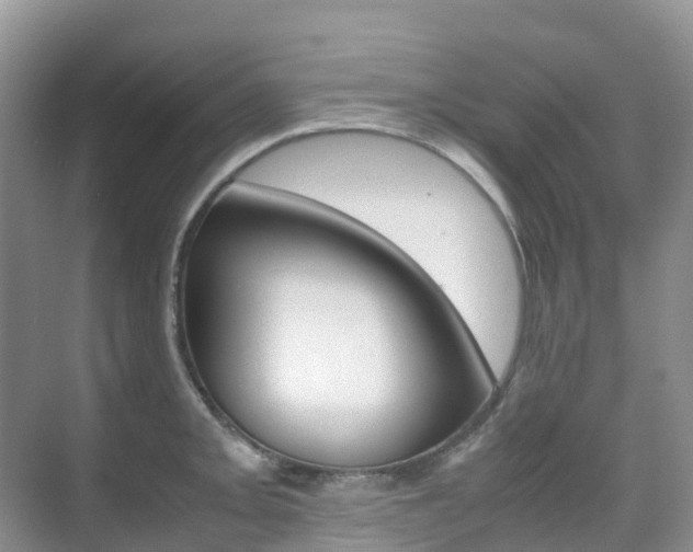 X0000070371093200606090819