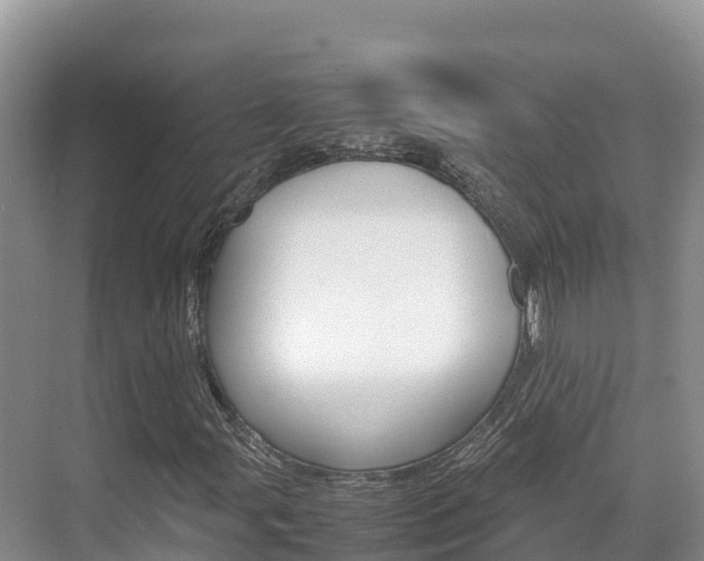 X0000070371107200606090818