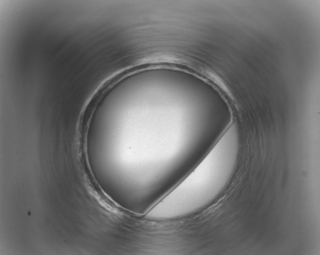 X0000070371116200606090818