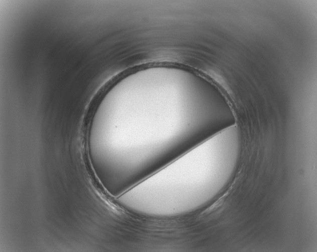 X0000070371119200606090818