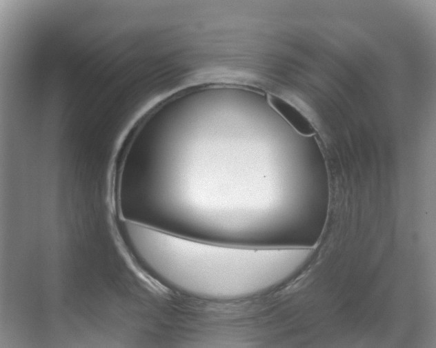 X0000070371128200606090819