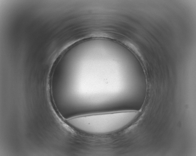 X0000070371133200606090819