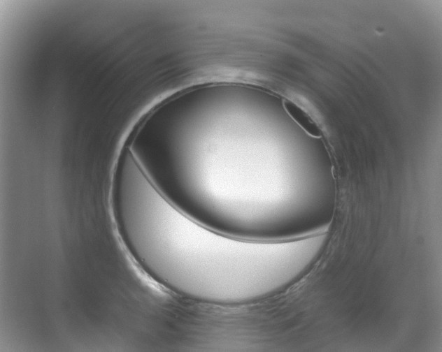 X0000070371136200606090819
