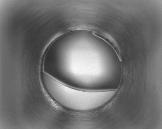 X0000070371138200606090819