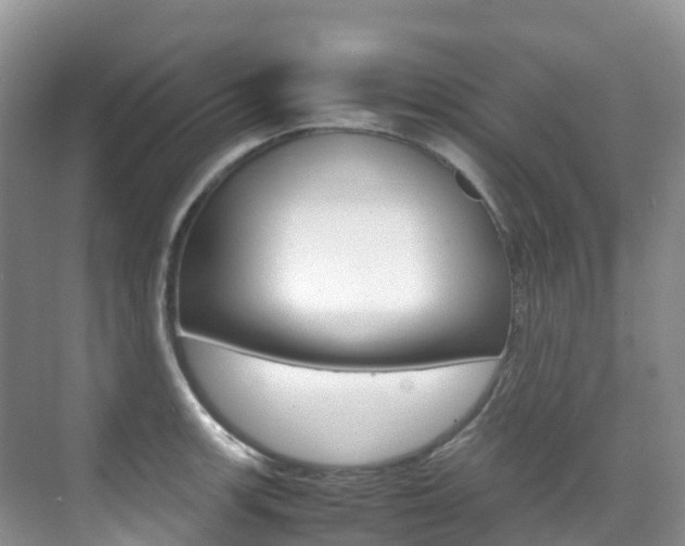 X0000070371139200606090819