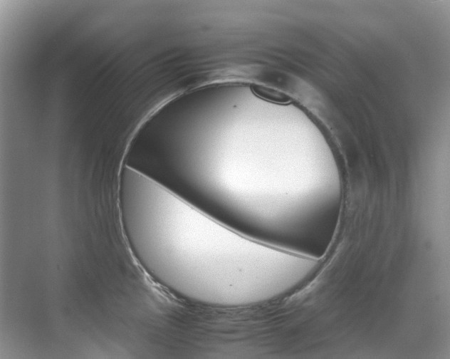 X0000070371145200606090819
