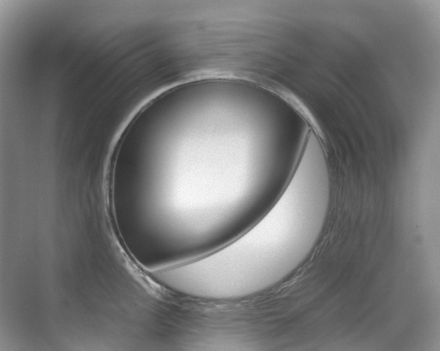 X0000070371148200606090819