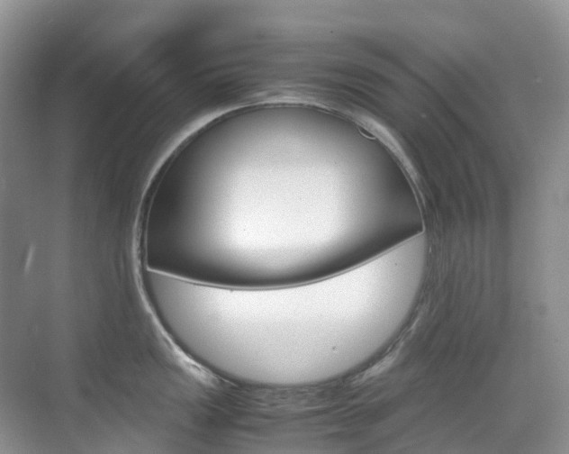 X0000070371149200606090819