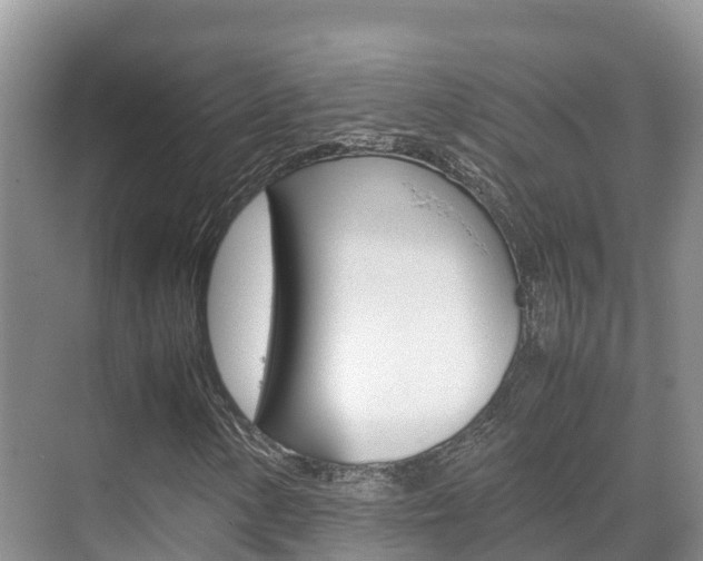 X0000070371154200606090818