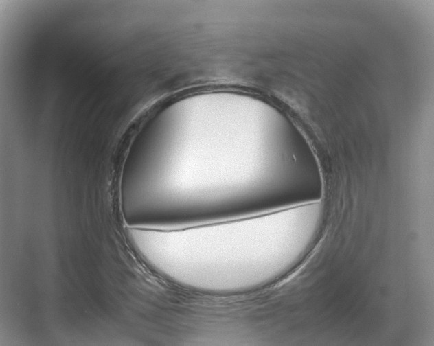 X0000070371163200606090818