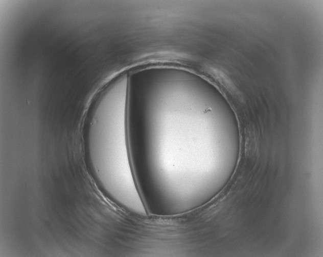 X0000070371164200606090818