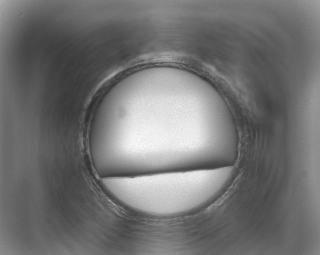 X0000070371166200606090818