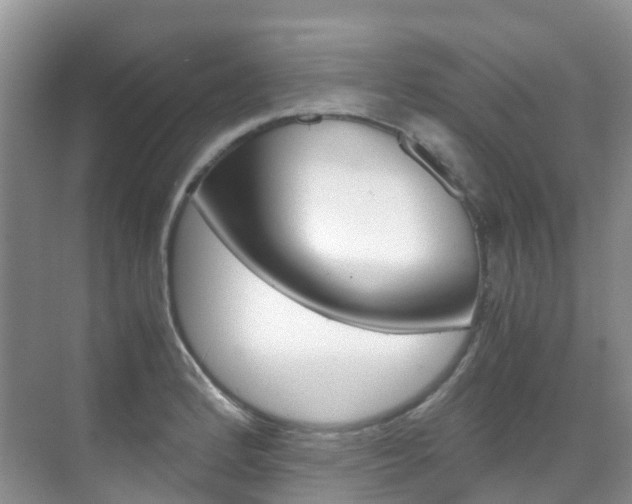 X0000070371184200606090818