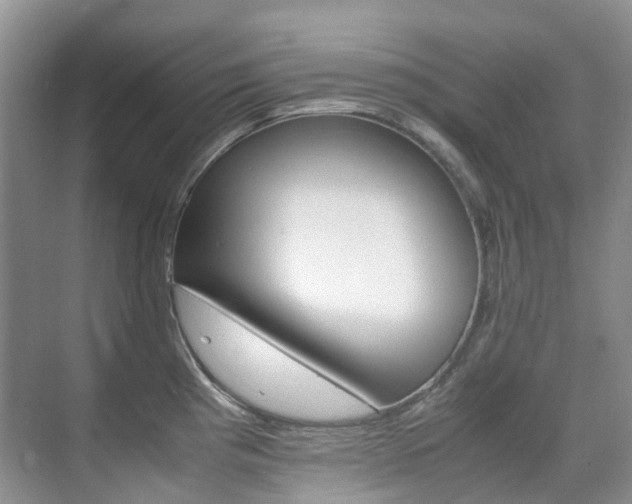 X0000070371193200606090818