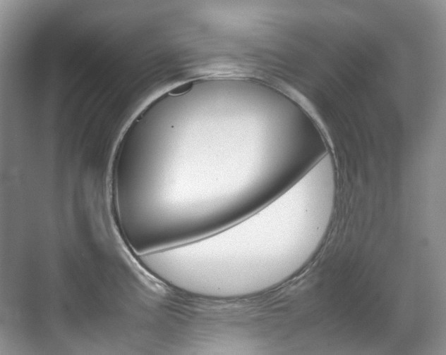 X0000070371195200606090817