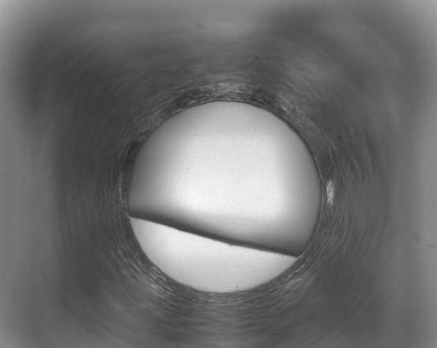 X0000070371203200606090817