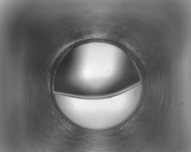 X0000070371214200606090817