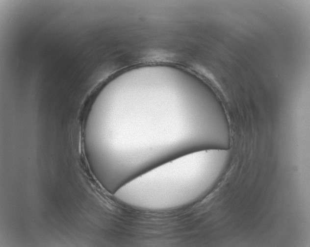 X0000070371219200606090817